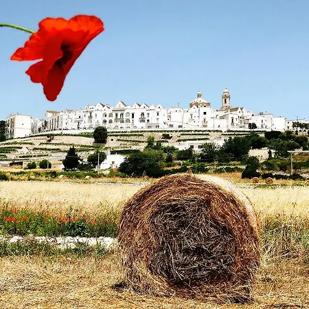 Feriehus Trulli Pietra Bianca